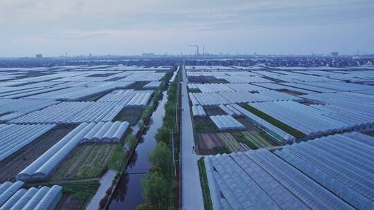 航拍大型农场田地自然风景