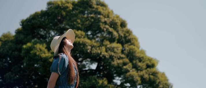 唯美小清新写意夏天花海美女空镜头氛围感