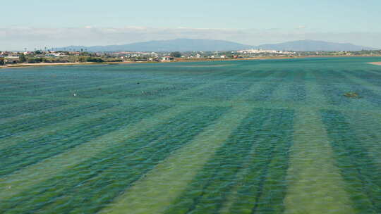 空中：葡萄牙Alvor泻湖的水产养殖业。