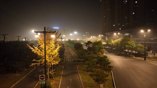 疫情下洛阳城市交通夜景