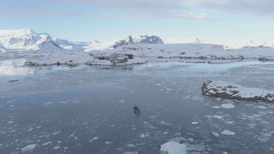 人在橡胶充气摩托艇航行在南极冰到极地站