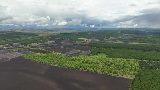 林间空地黑土地田野耕地农田