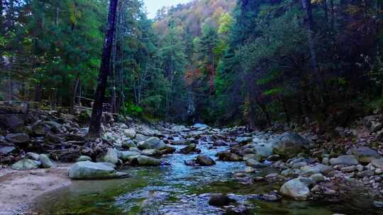 秦岭秋景