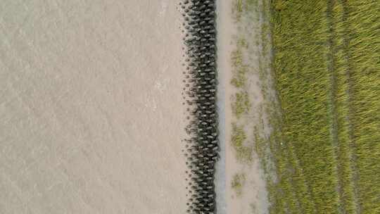 航拍海岸整齐的石头