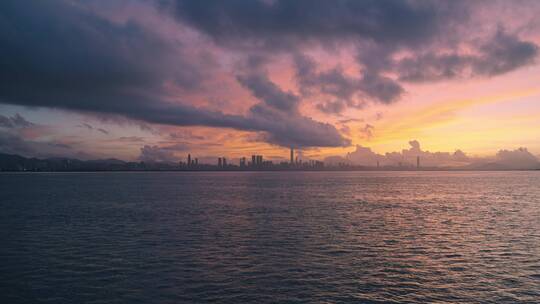 深圳湾日出，海鸟飞过