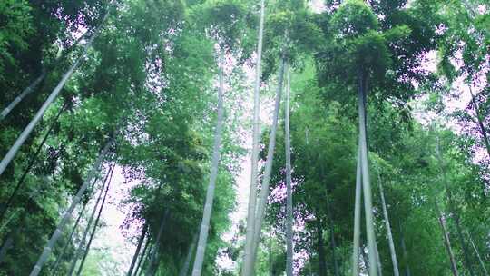 浙江安吉航拍素材山水绿水青山就是金山银山