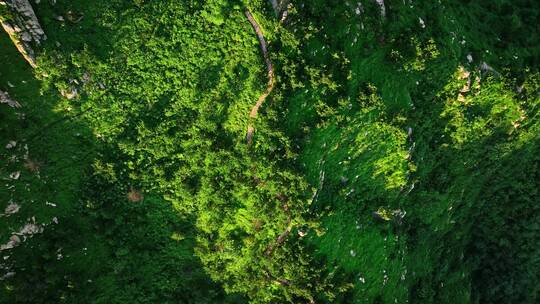 青岛浮山航拍