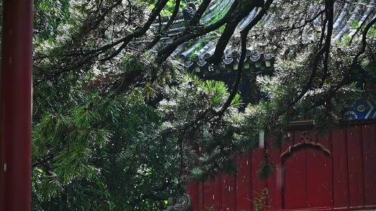 中国风寺庙古建筑下雨雨滴慢镜头