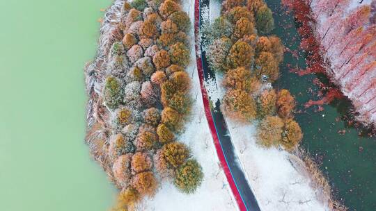 连云港硕项湖雪景0230