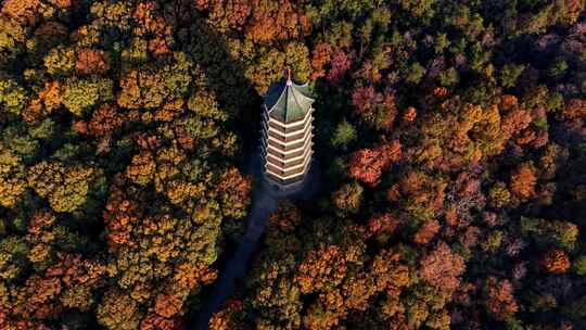 南京灵谷景区灵谷寺灵谷塔航拍