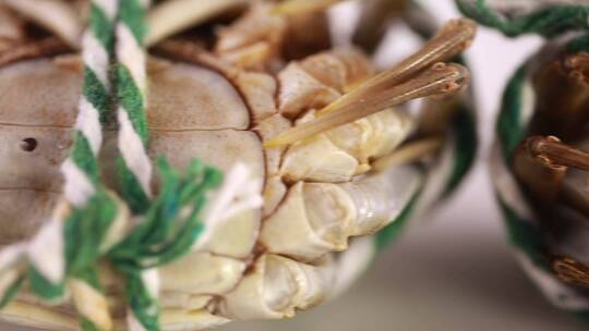 【镜头合集】受伤蟹壳上有伤痕的大闸蟹