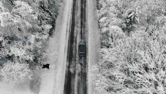 无人驾驶飞机拍摄的汽车在冬季森林道路上行视频素材模板下载