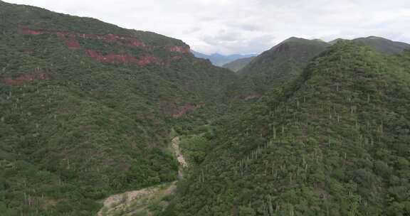 墨西哥特华坎生物圈保护区，国家保护区，生