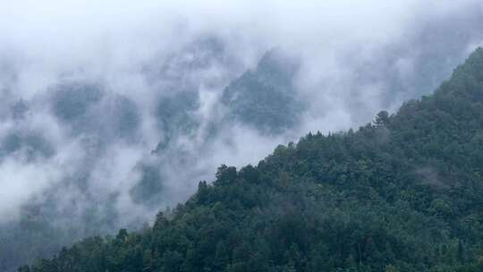 雨后山里云雾延时