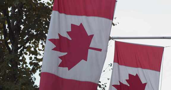安装在伦敦高级专员公署的加拿大国旗又名枫