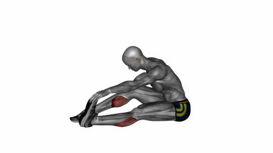 坐着小腿伸展健身锻炼3D演示动画