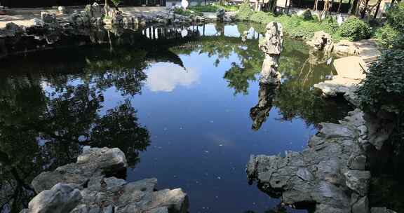 阳光绿植太湖石园林庭院水景沉浸式氛围