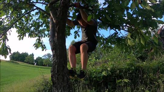 男人在树上摘水果视频素材模板下载