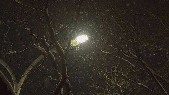夜景飘雪下的路灯