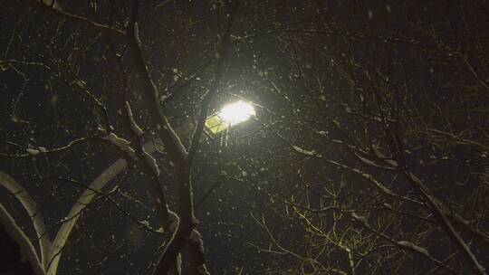 夜景飘雪下的路灯视频素材模板下载