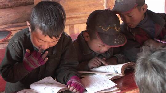 农村孩子在学校努力学习