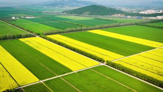 春天航拍中国北方粮仓北大荒农场