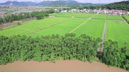 夏日里绿油油的稻田风车美丽的乡村田野航拍