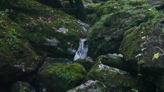 山涧青苔石头流水