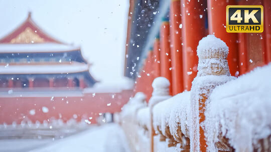 冬天雪花大雪暴风雪冬至雪天视频素材3