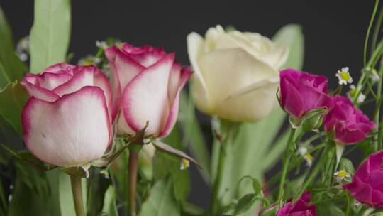 白色和粉色玫瑰花的特写镜头
