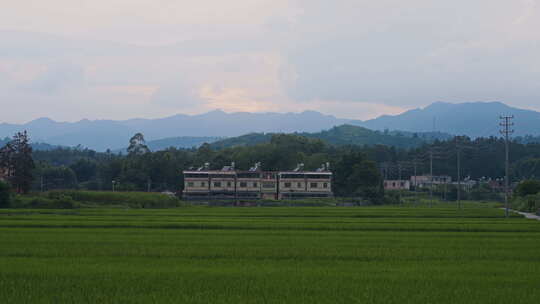 自然农村乡间田地