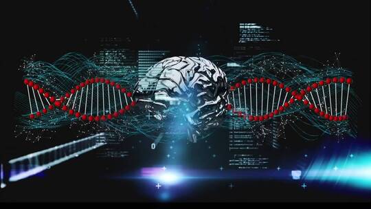 AI人工智能大脑数据计算功能视频素材模板下载