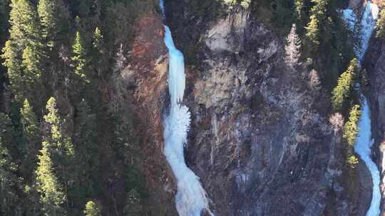 航拍川西四姑娘山双桥沟景区森林冰瀑景观