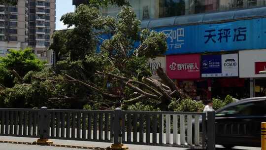 道路交通行驶的车辆