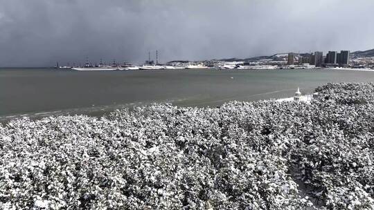 雪后森林大海城市