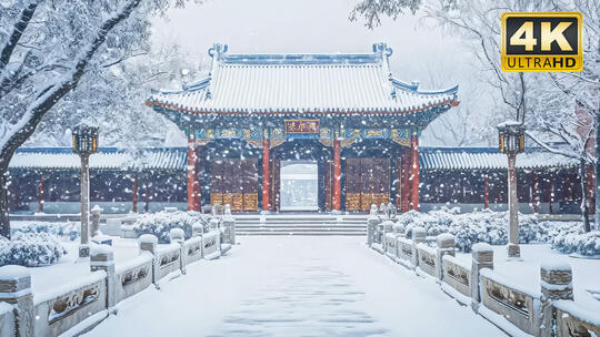 园林下大雪小雪大雪纷飞暴雪厚雪