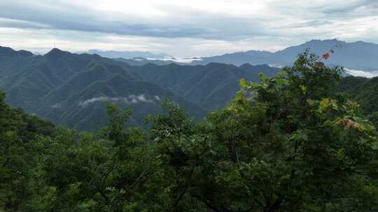 美丽中国河南伏牛山老界岭自然风光