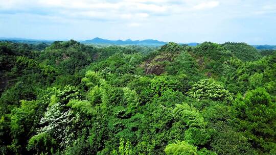 衡阳花果山