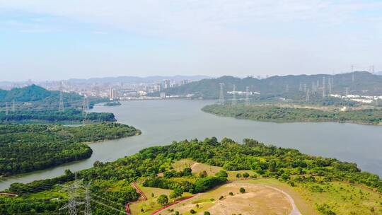 宝安石岩湿地公园视频素材模板下载