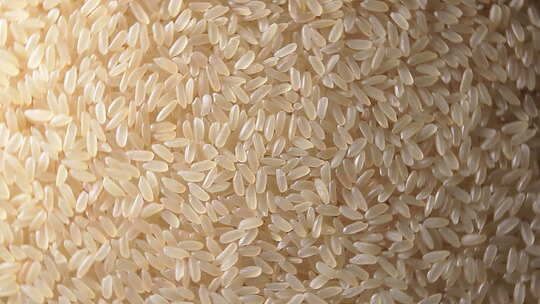 大米白米稻米视频素材模板下载