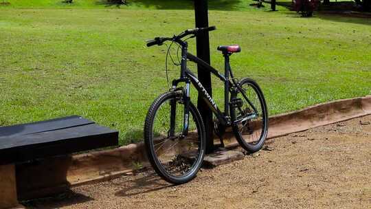 停在公园草地边上的自行车