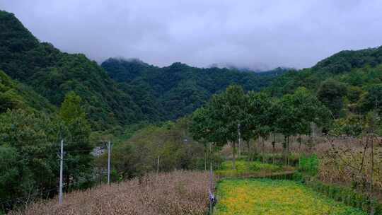 山中的乡村田园绝美风光