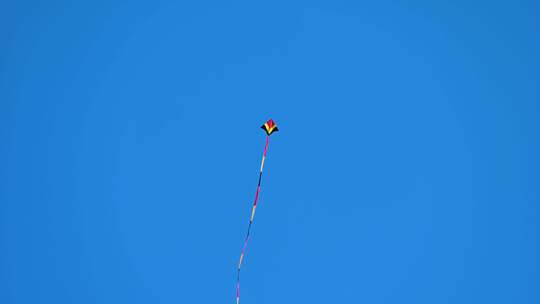 蓝天下飞翔的风筝视频素材模板下载