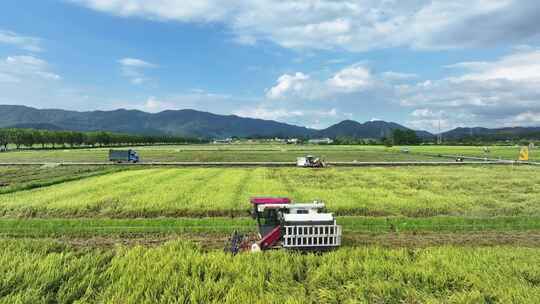 中国广州市增城区丝苗米省级现代农业产业园