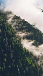 延时拍摄山林云雾