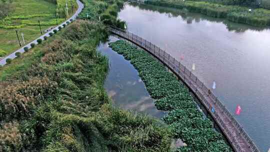 湿地生态区