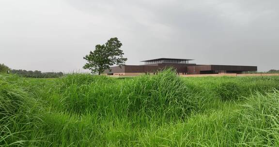 洛阳二里头夏都博物馆航拍芦苇荡建筑美学