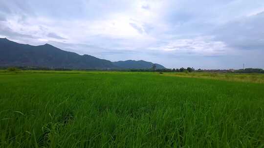 穿越机航拍清远市清城区黎塘田园风光