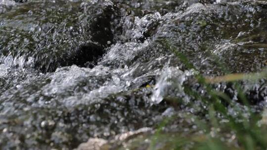 河谷大自然山泉水