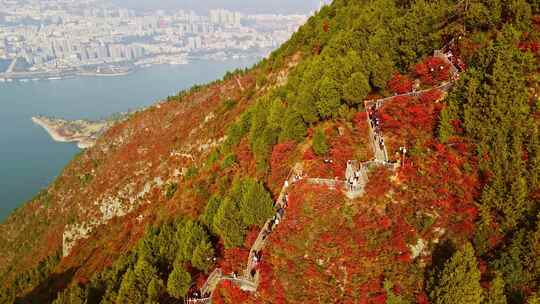 长江三峡巫峡红叶